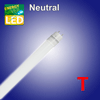 LED Röhren neutral