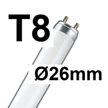 Rasterlampe T8 Röhre