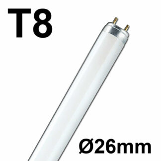 Rasterlampe T8 Röhre